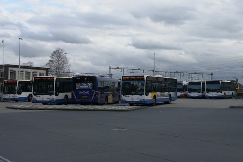 Citaro's op busstation Apeldoorn NS