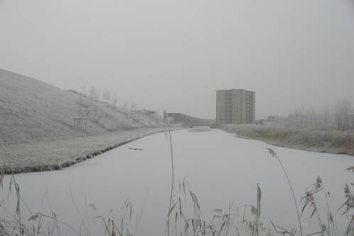 Winterweer in Zaandam
